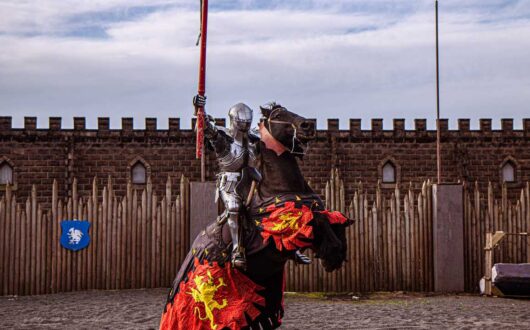Royal-Joust-Section-Photo-2