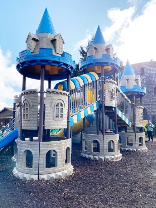 Dragon Playground